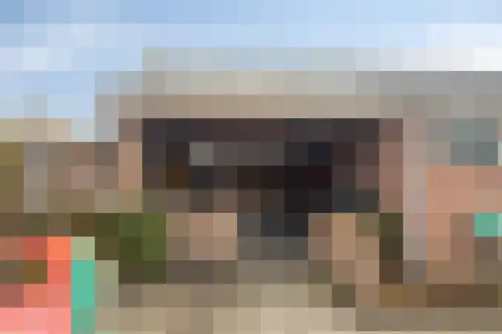Rijsaert 8 Elburg thumbnail 51
