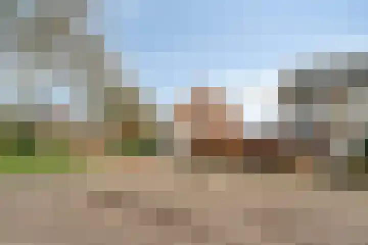 Rijsaert 8 Elburg thumbnail 8