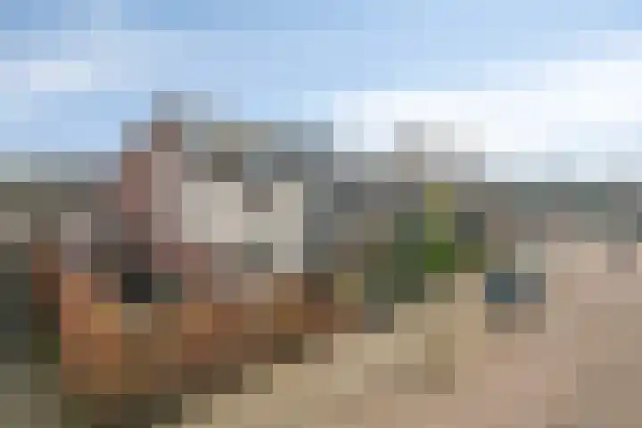 Rijsaert 8 Elburg thumbnail 9