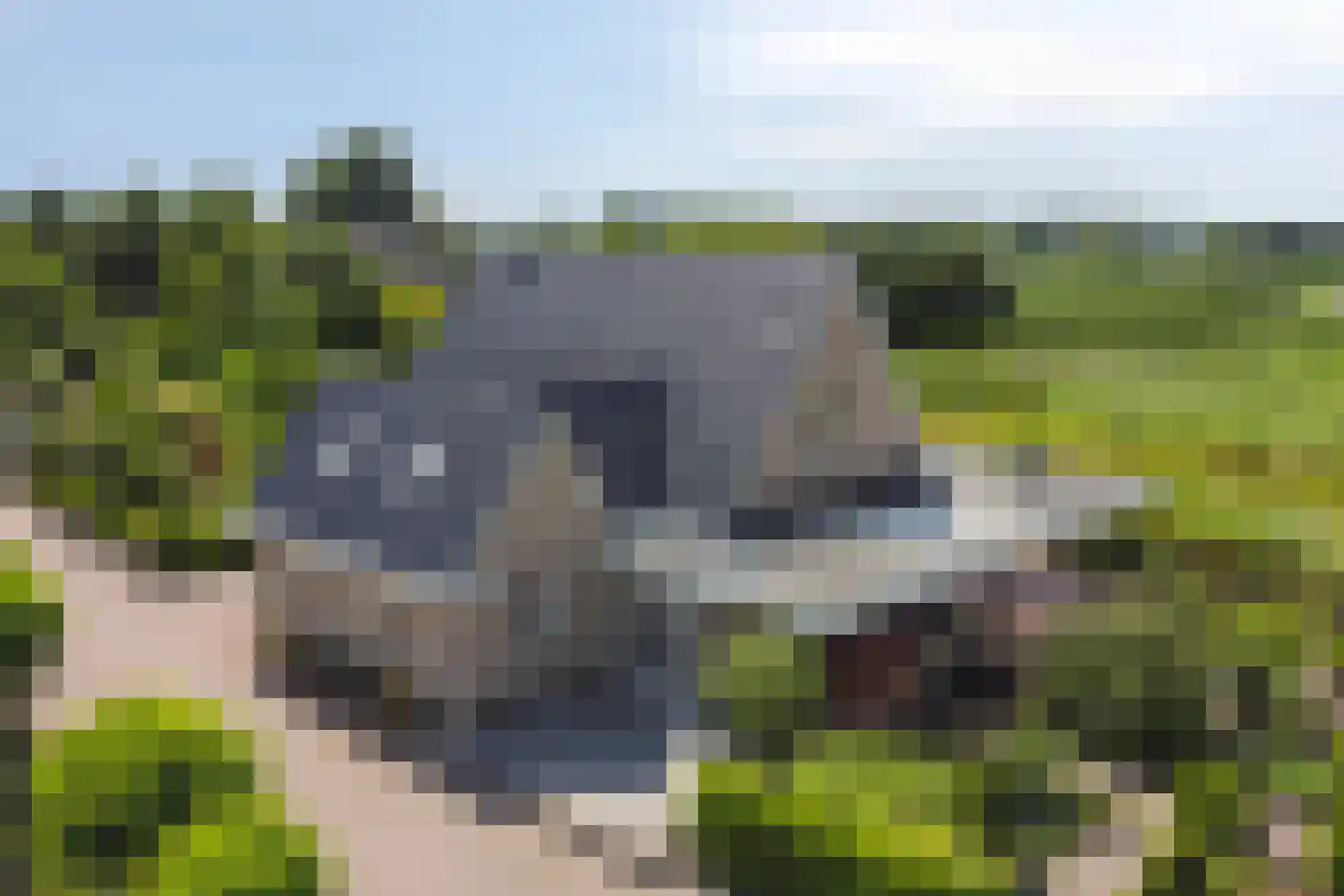 Rijsakkerweg 14 Tiel thumbnail 10