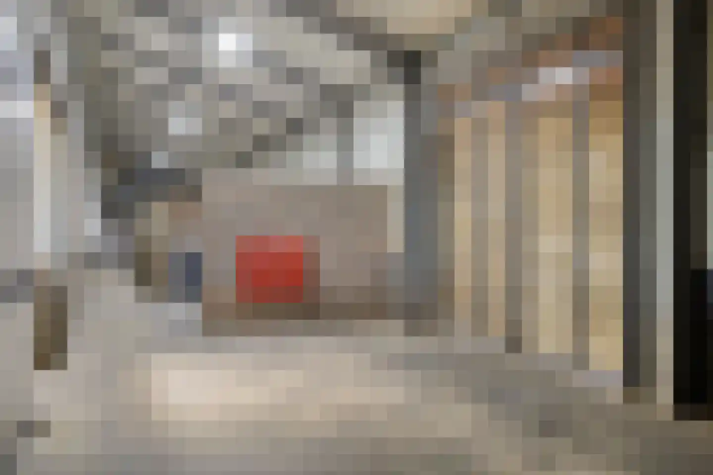 Rijsakkerweg 14 Tiel thumbnail 106