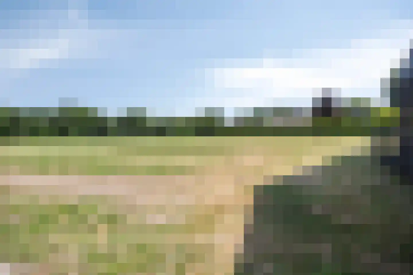 Rijsakkerweg 14 Tiel thumbnail 120