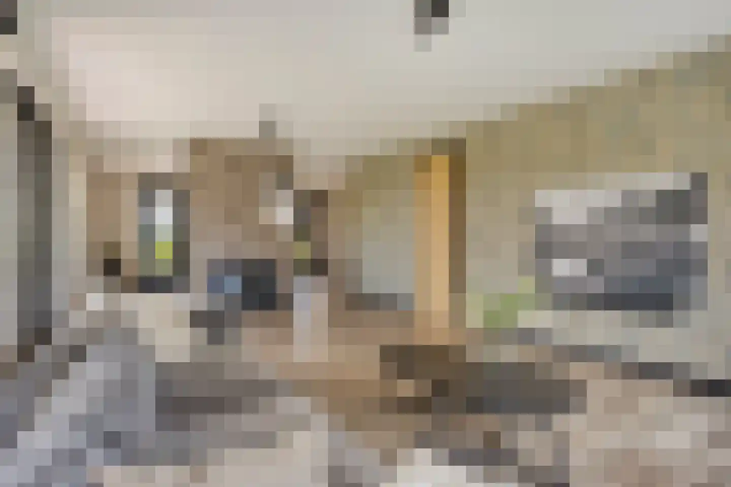 Rijsakkerweg 14 Tiel thumbnail 27