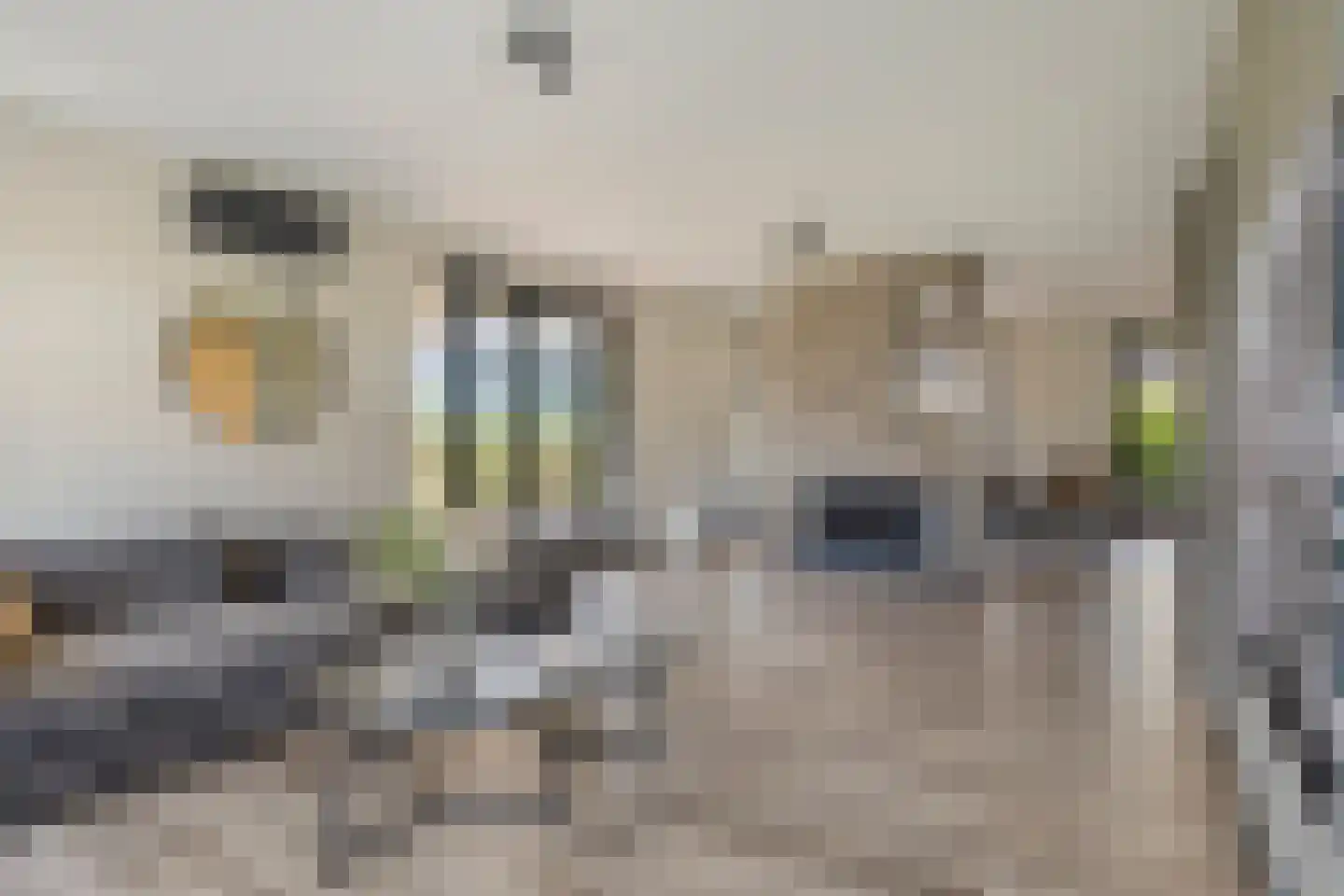 Rijsakkerweg 14 Tiel thumbnail 28