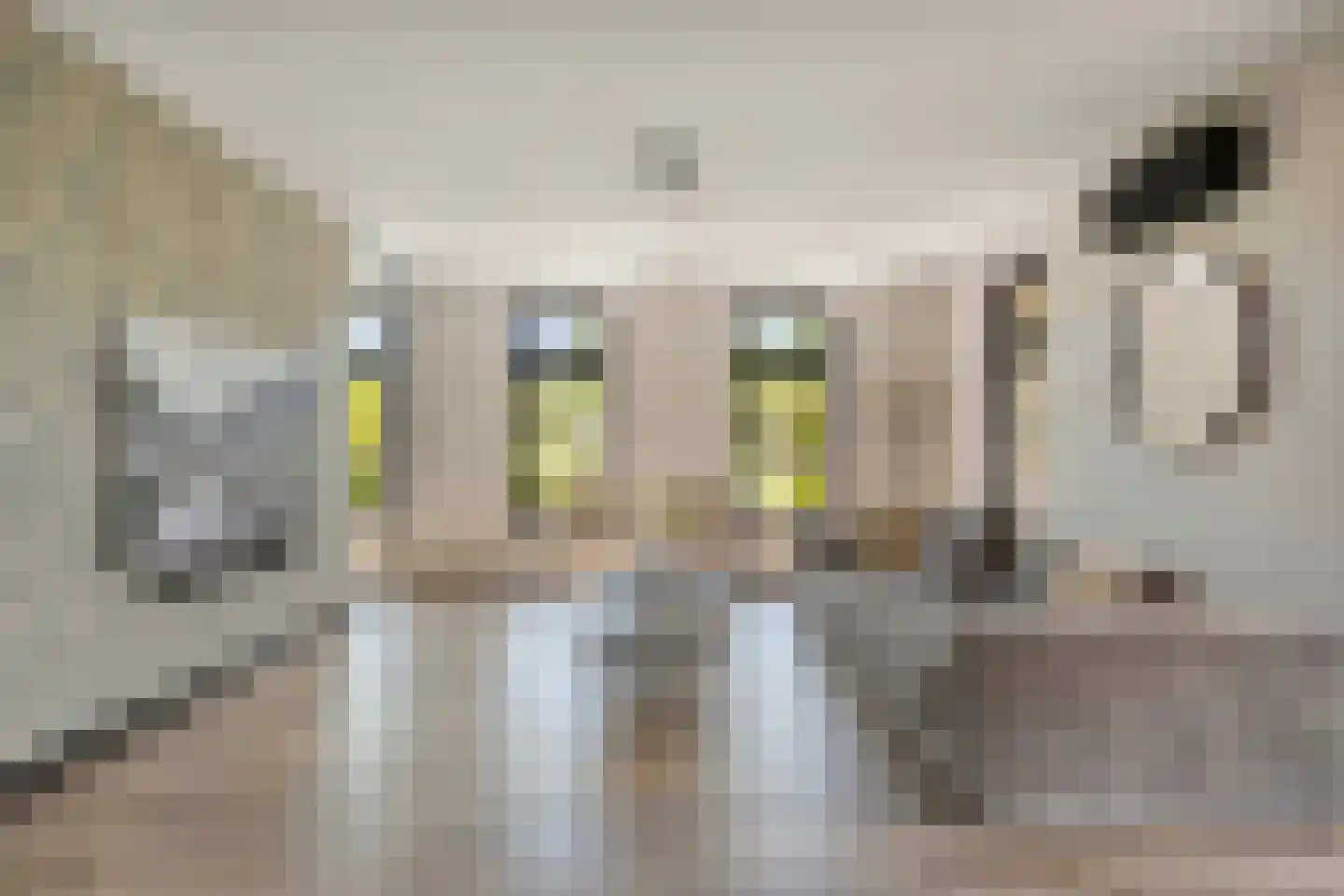 Rijsakkerweg 14 Tiel thumbnail 31