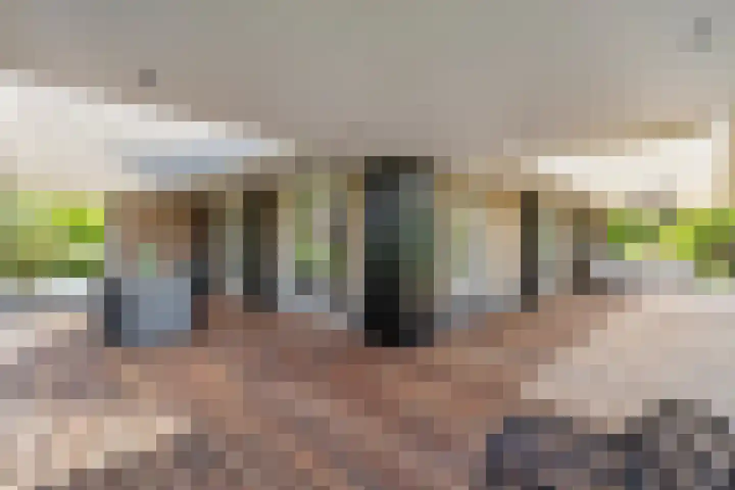 Rijsakkerweg 14 Tiel thumbnail 37