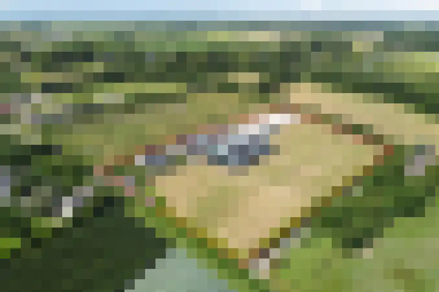 Rijsakkerweg 14 Tiel thumbnail 4