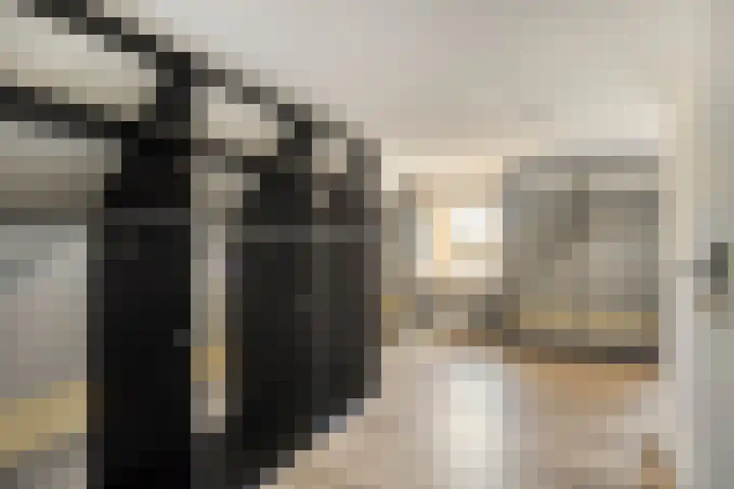 Rijsakkerweg 14 Tiel thumbnail 45