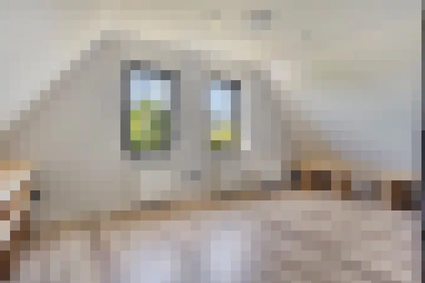 Rijsakkerweg 14 Tiel thumbnail 46