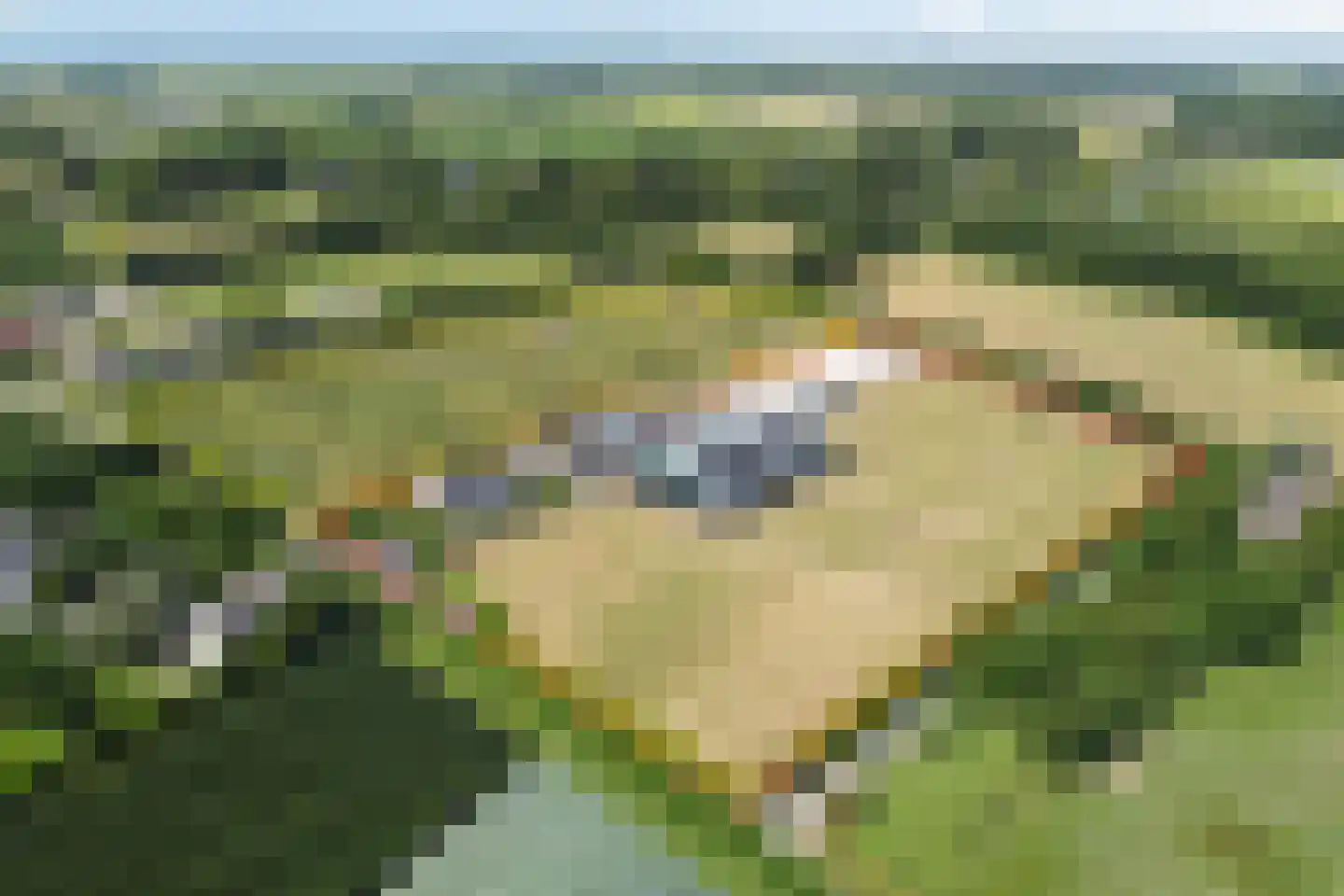 Rijsakkerweg 14 Tiel thumbnail 5
