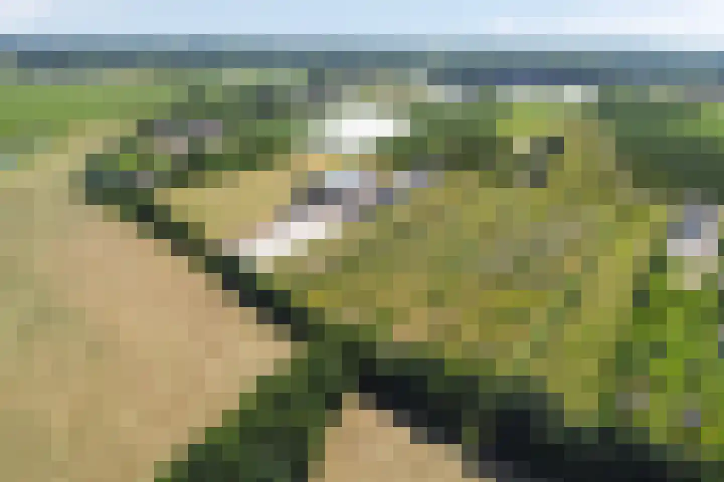 Rijsakkerweg 14 Tiel thumbnail 6