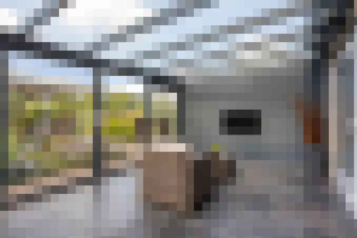 Rijsakkerweg 14 Tiel thumbnail 67