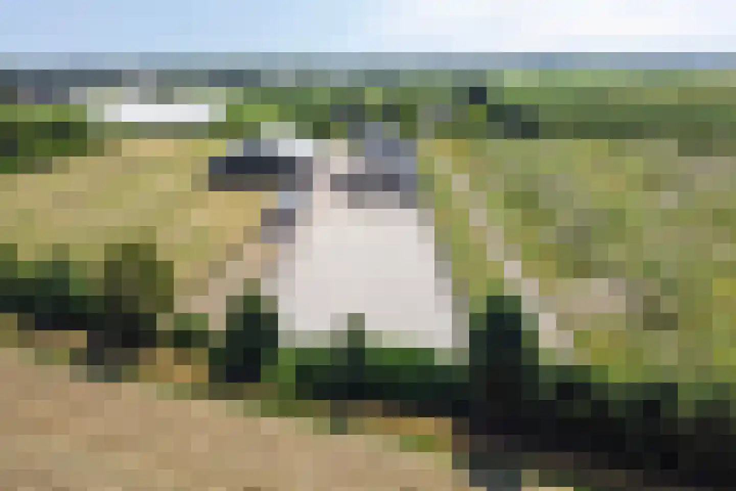 Rijsakkerweg 14 Tiel thumbnail 7