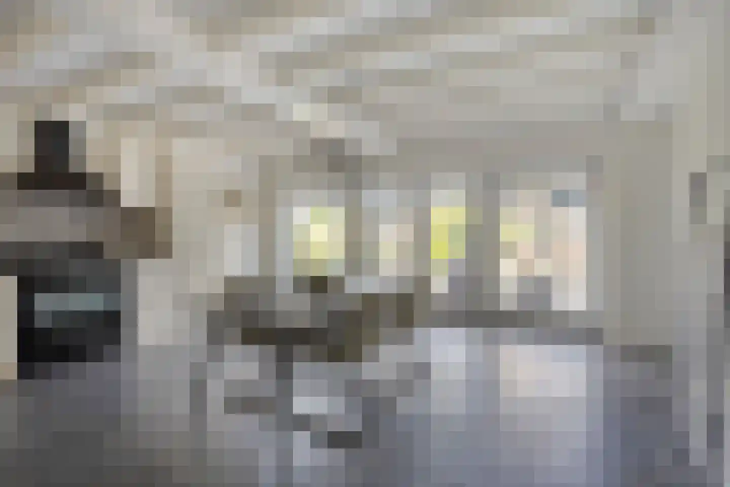 Rijsakkerweg 14 Tiel thumbnail 70