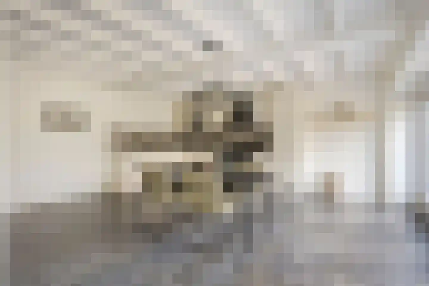Rijsakkerweg 14 Tiel thumbnail 71