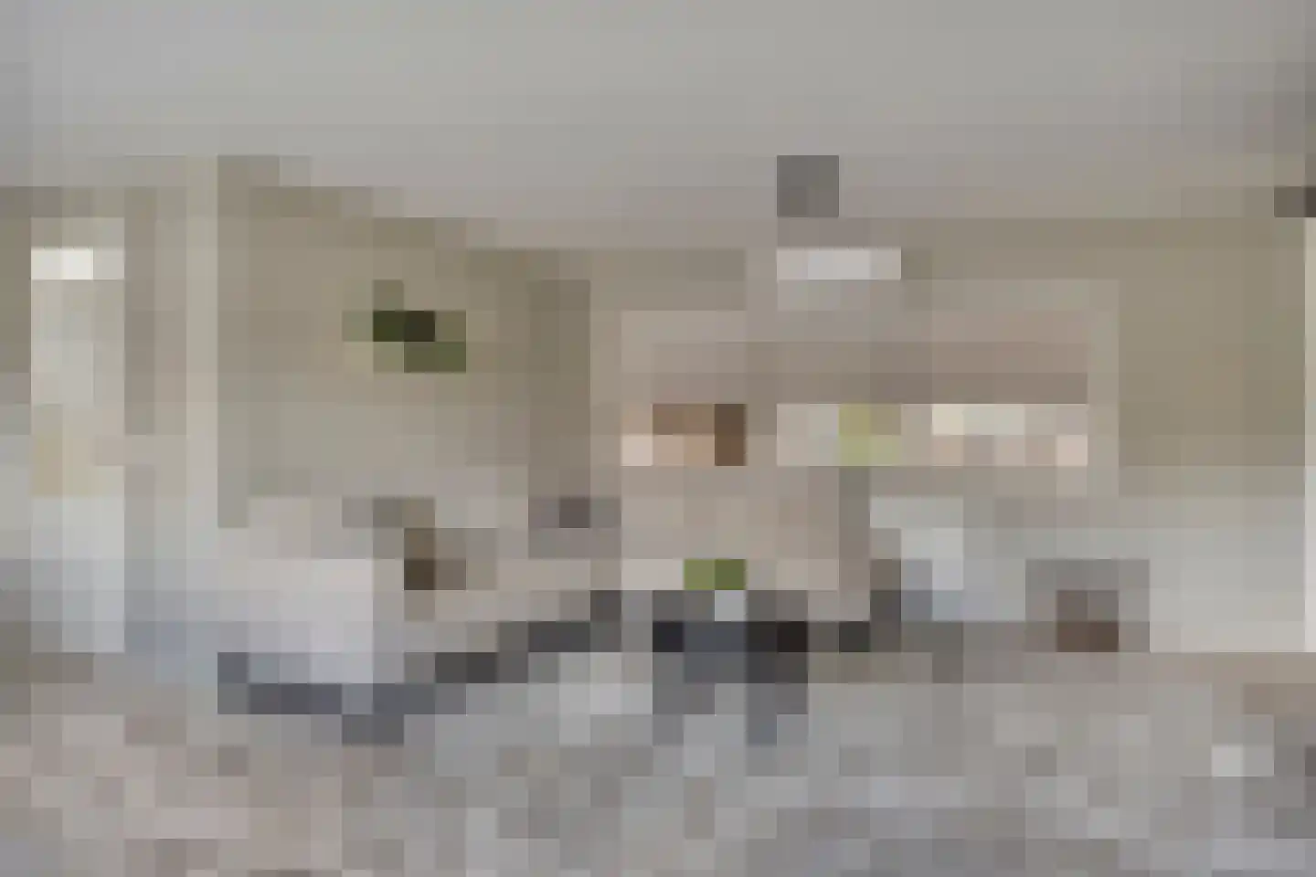 Rijsakkerweg 14 Tiel thumbnail 78