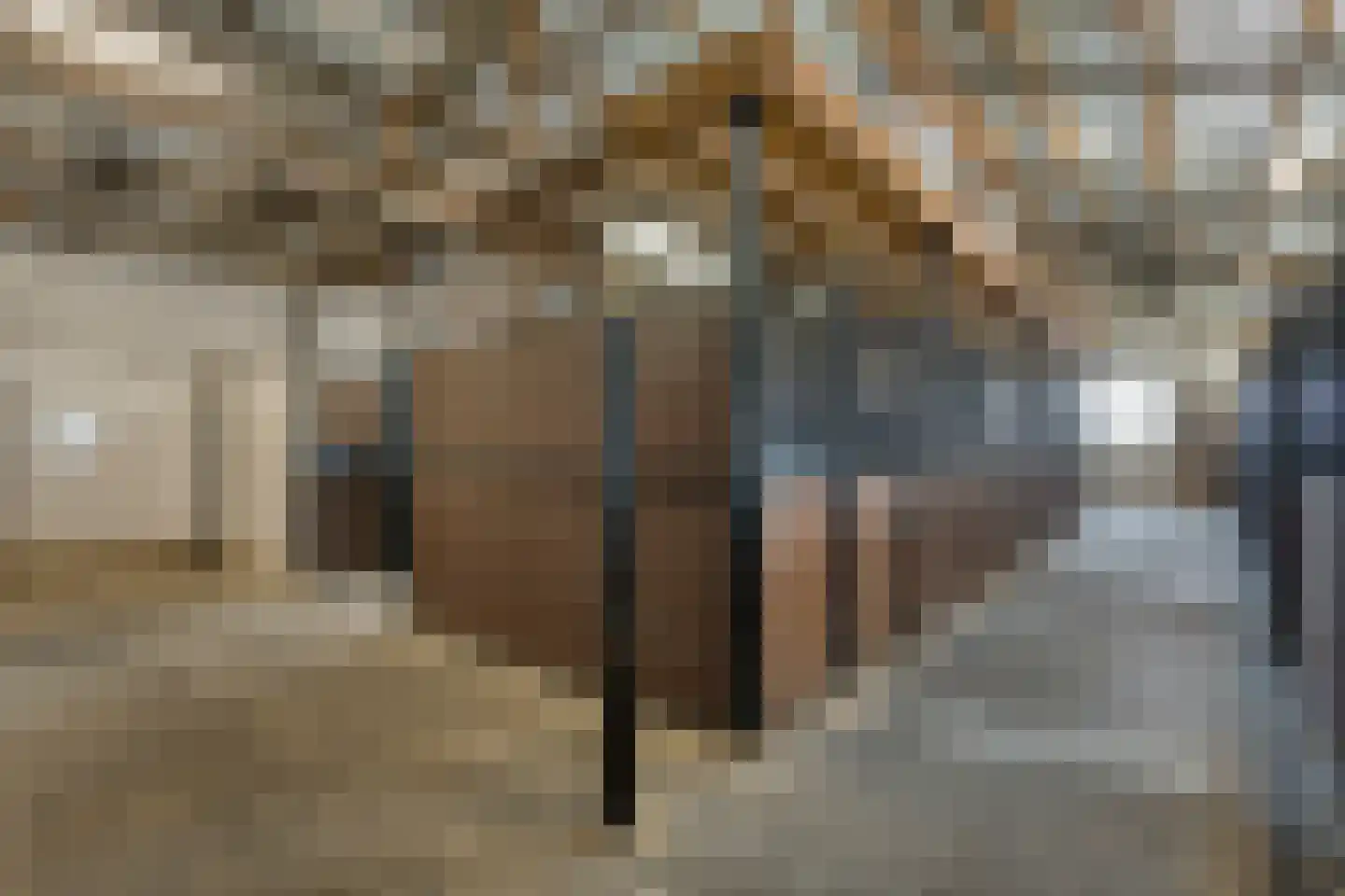 Rijsakkerweg 14 Tiel thumbnail 92