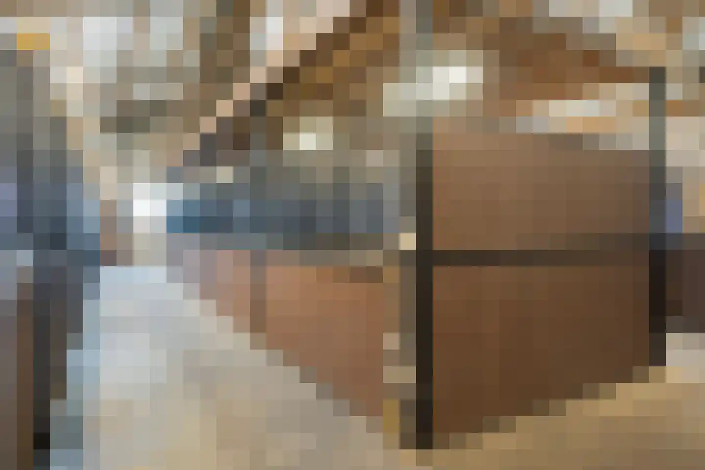 Rijsakkerweg 14 Tiel thumbnail 93