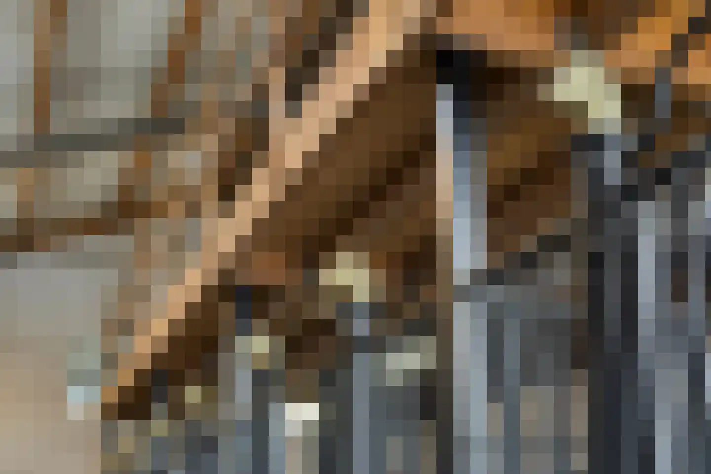 Rijsakkerweg 14 Tiel thumbnail 95