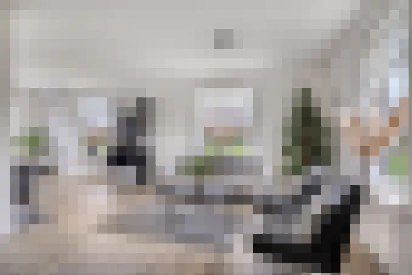 Rijsakkerweg 2 a Tiel thumbnail 12