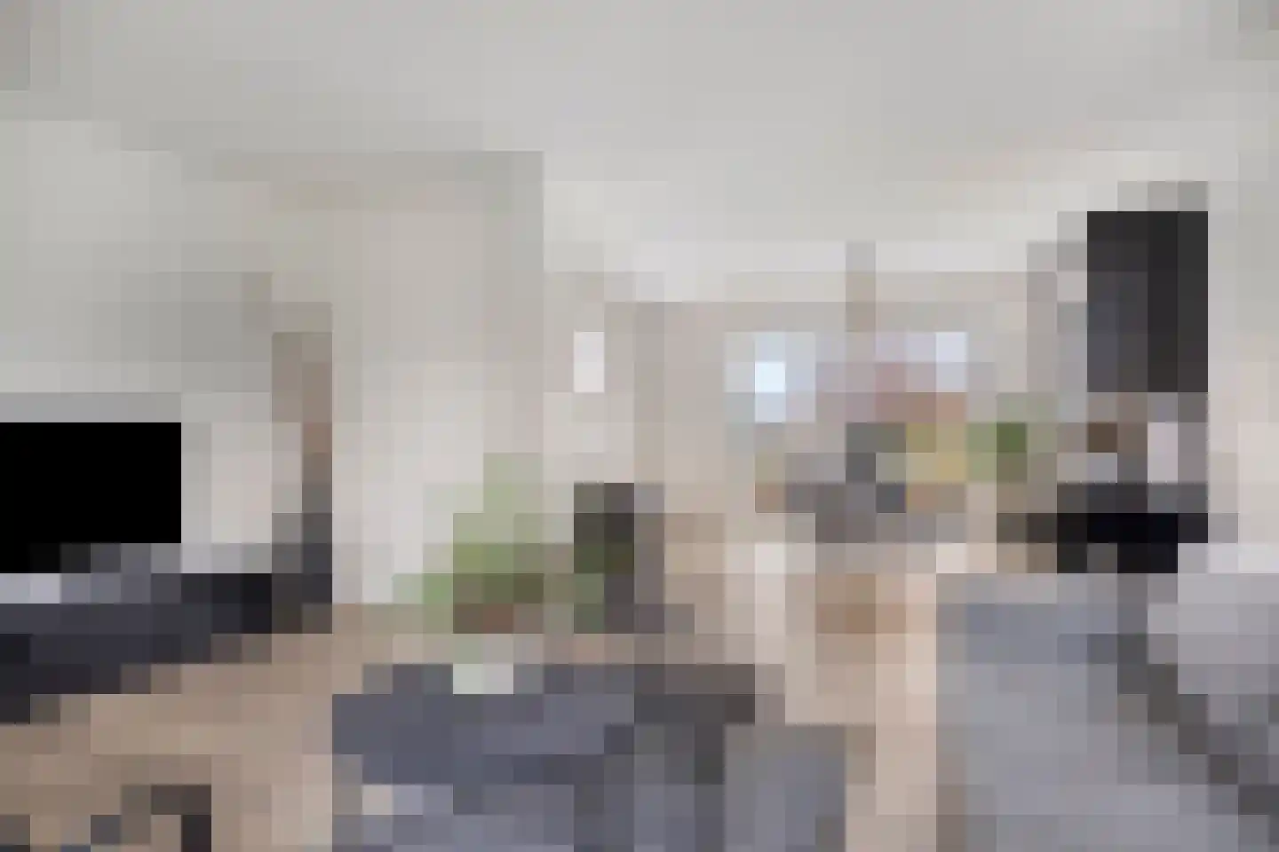 Rijsakkerweg 2 a Tiel thumbnail 13