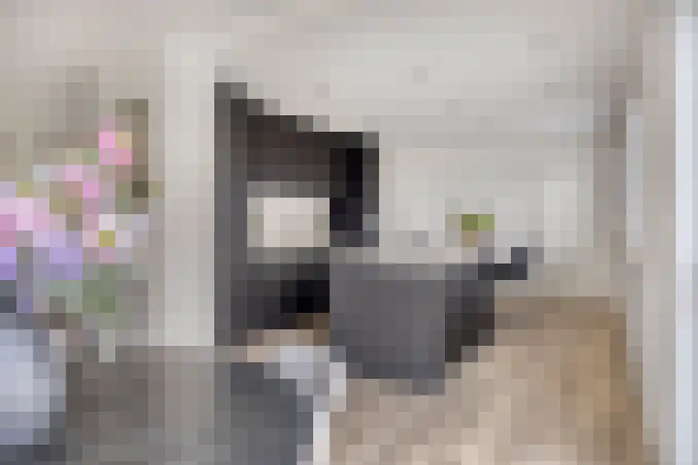Rijsakkerweg 2 a Tiel thumbnail 15