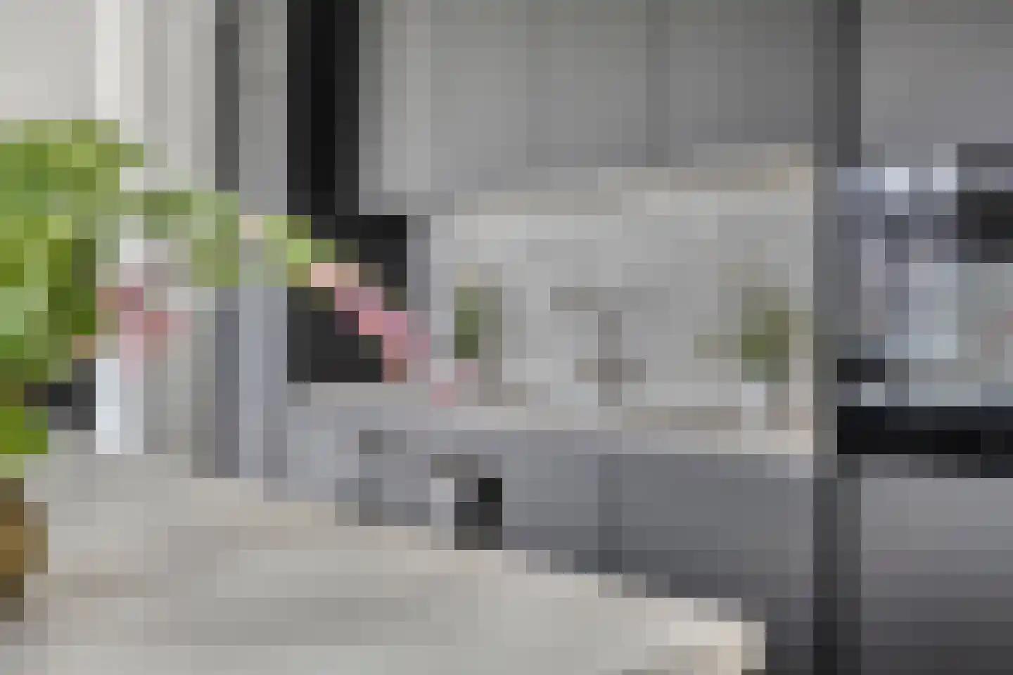 Rijsakkerweg 2 a Tiel thumbnail 16