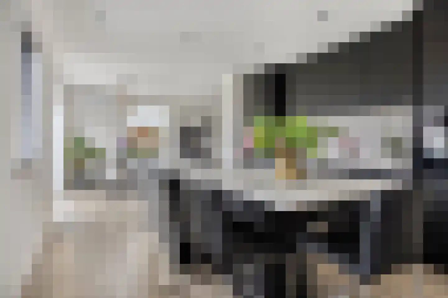 Rijsakkerweg 2 a Tiel thumbnail 17