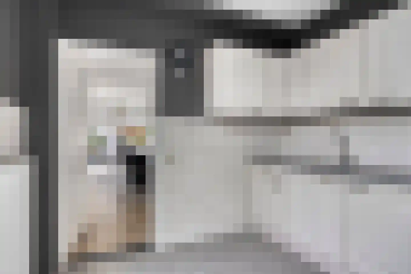 Rijsakkerweg 2 a Tiel thumbnail 19