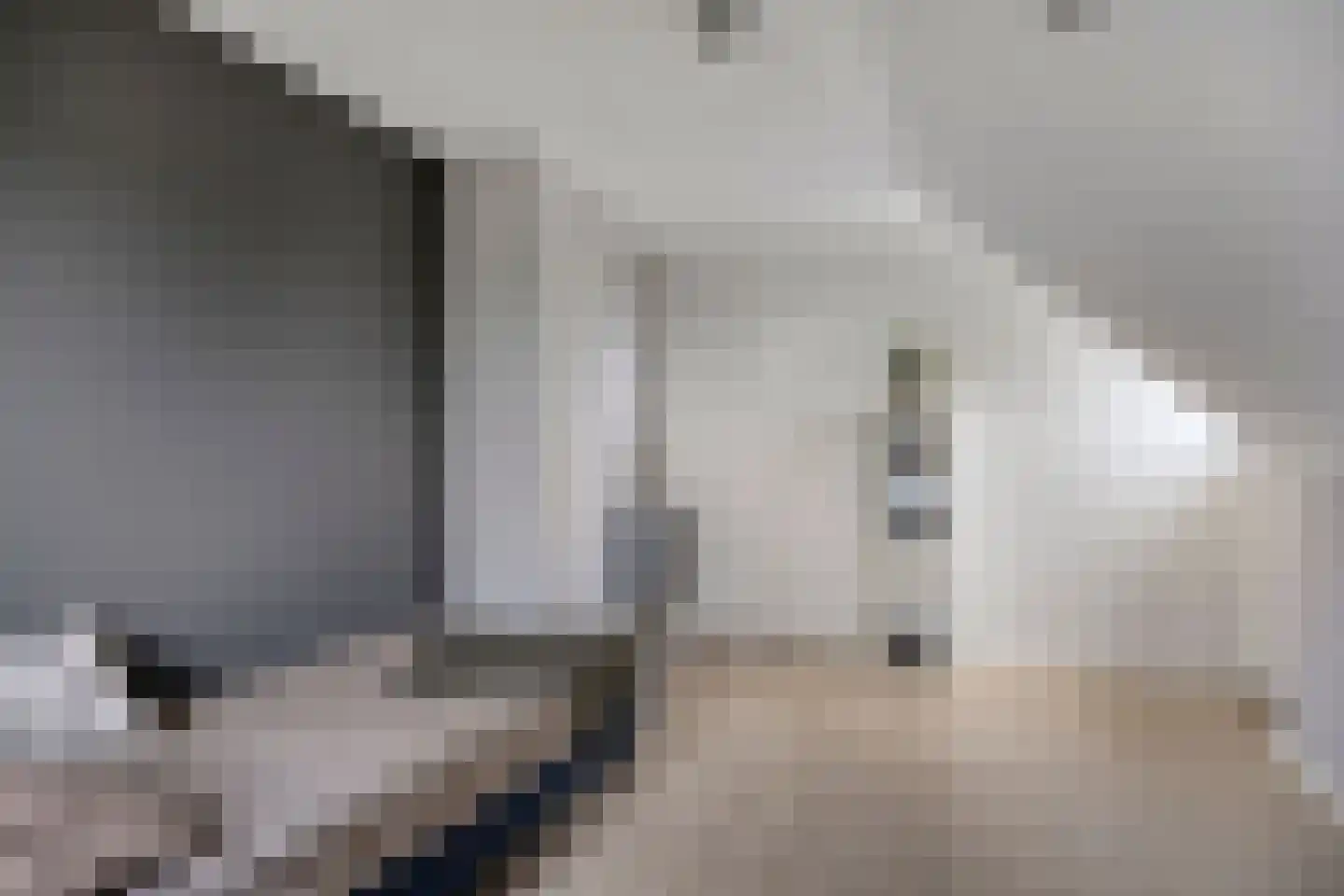 Rijsakkerweg 2 a Tiel thumbnail 32