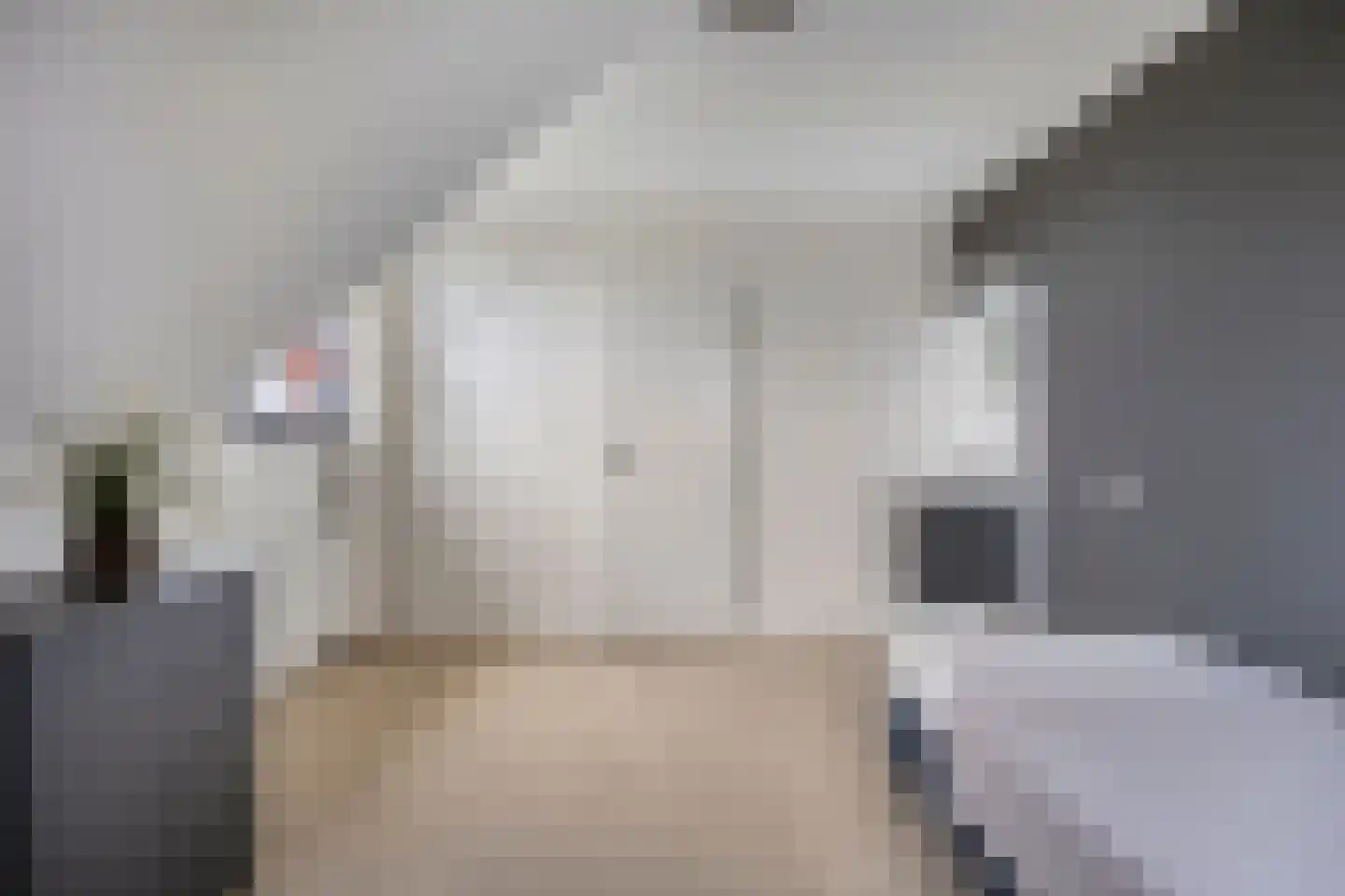 Rijsakkerweg 2 a Tiel thumbnail 34