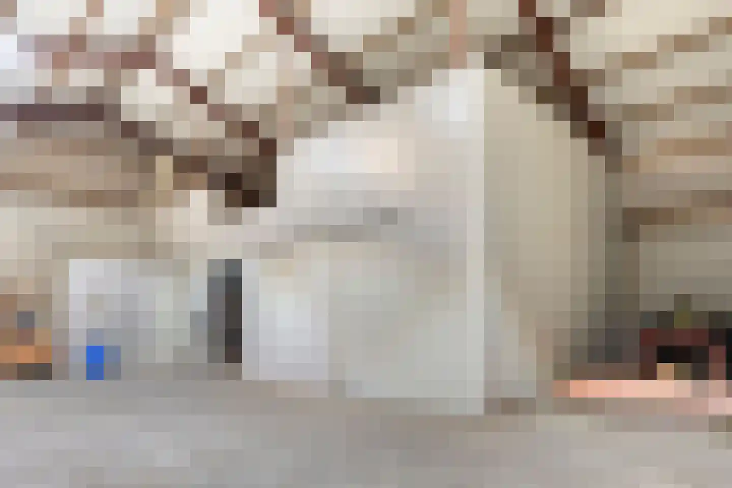 Rijsakkerweg 2 a Tiel thumbnail 50