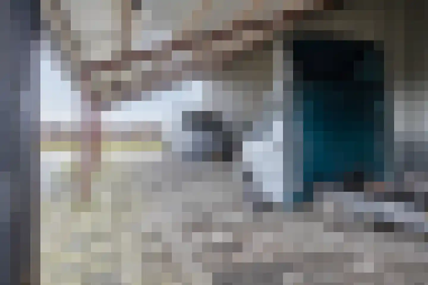 Rijsakkerweg 2 a Tiel thumbnail 51