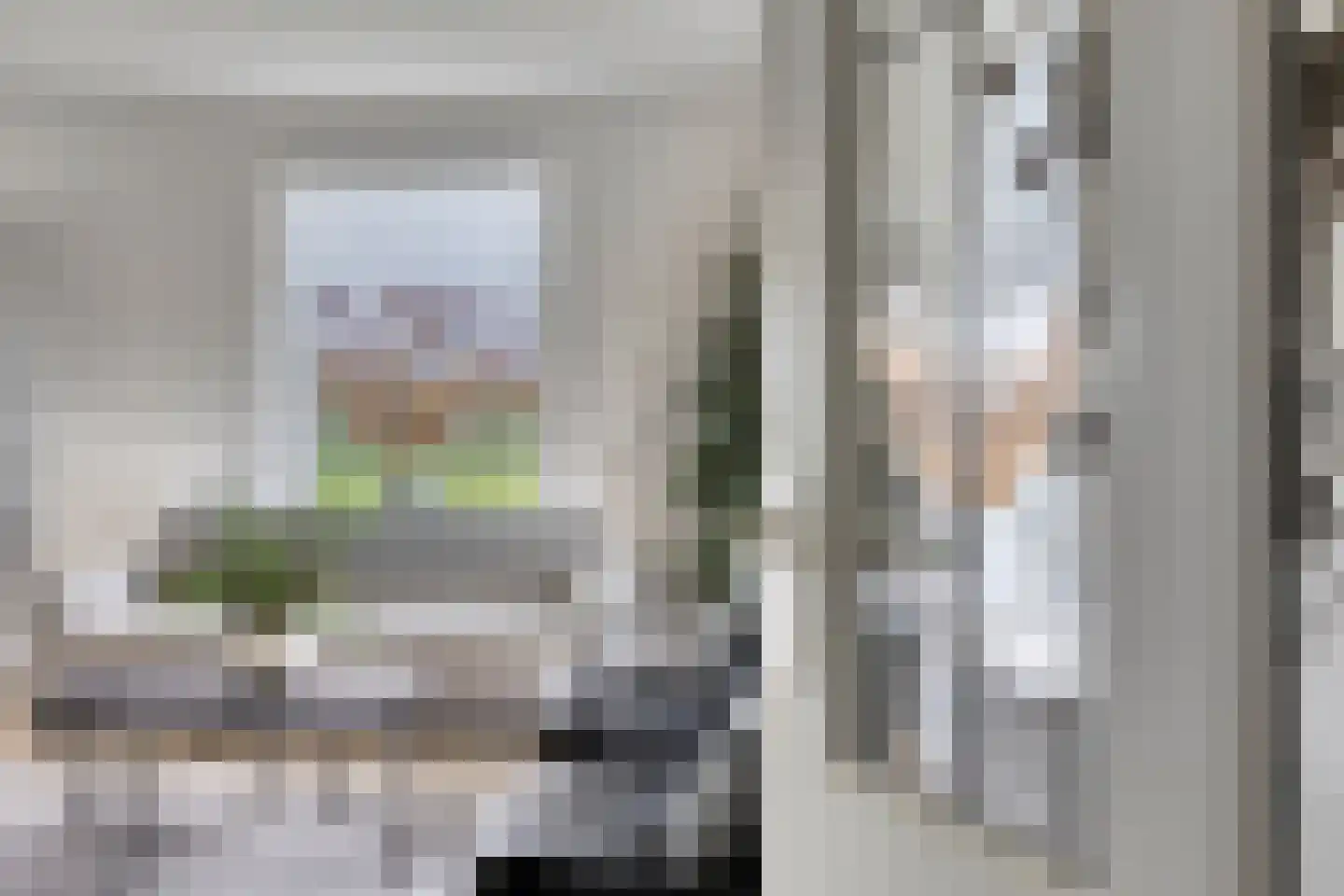 Rijsakkerweg 2 a Tiel thumbnail 9
