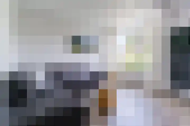 Rijsberg 12 Veldhoven thumbnail 12
