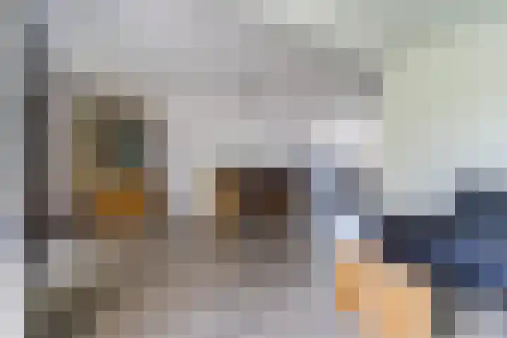 Rijsberg 12 Veldhoven thumbnail 13