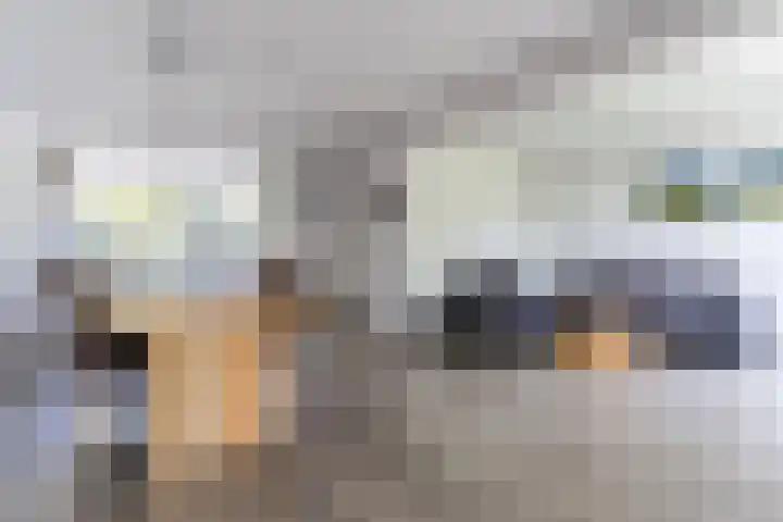 Rijsberg 12 Veldhoven thumbnail 14