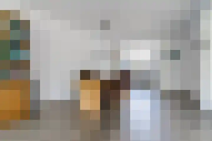 Rijsberg 12 Veldhoven thumbnail 15