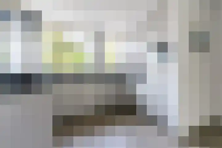 Rijsberg 12 Veldhoven thumbnail 17