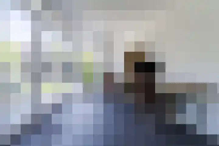 Rijsberg 12 Veldhoven thumbnail 19
