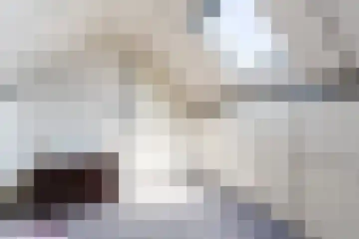 Rijsberg 12 Veldhoven thumbnail 35