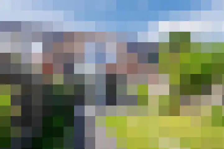 Rijsberg 12 Veldhoven thumbnail 36