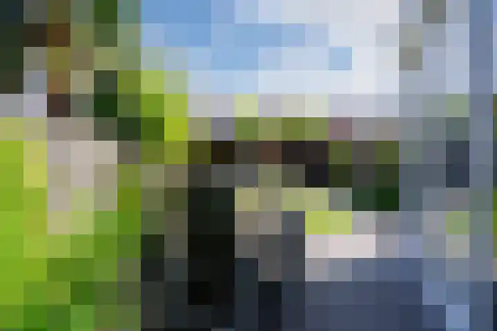 Rijsberg 12 Veldhoven thumbnail 37