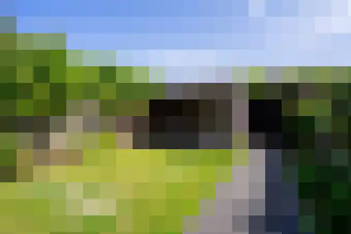 Rijsberg 12 Veldhoven thumbnail 38