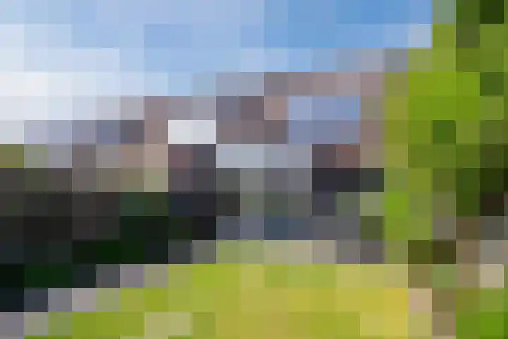 Rijsberg 12 Veldhoven thumbnail 39