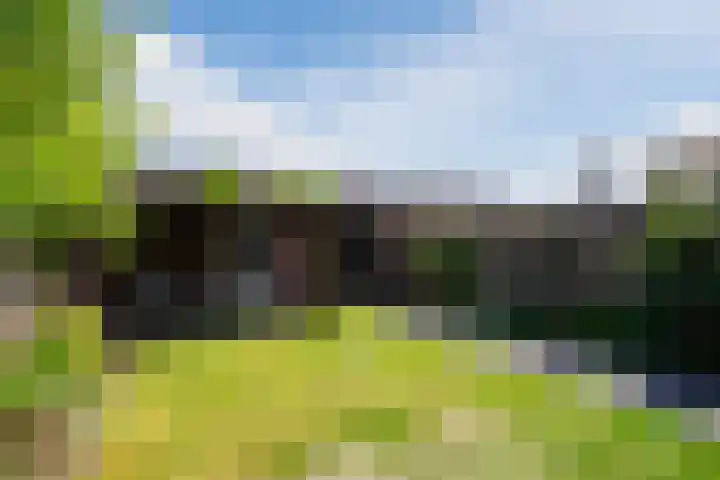 Rijsberg 12 Veldhoven thumbnail 40