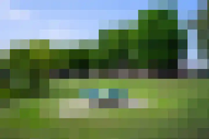 Rijsberg 12 Veldhoven thumbnail 44