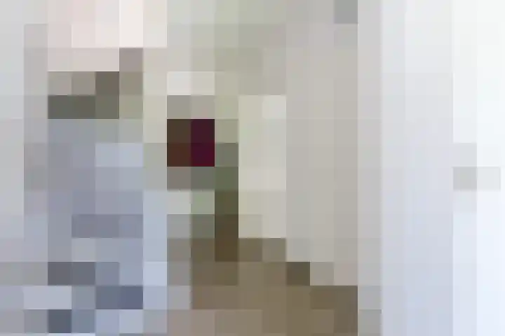 Rijsberg 12 Veldhoven thumbnail 8