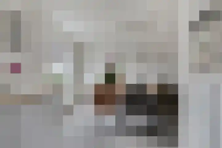 Rijsbergenstraat 9 Tilburg thumbnail 20