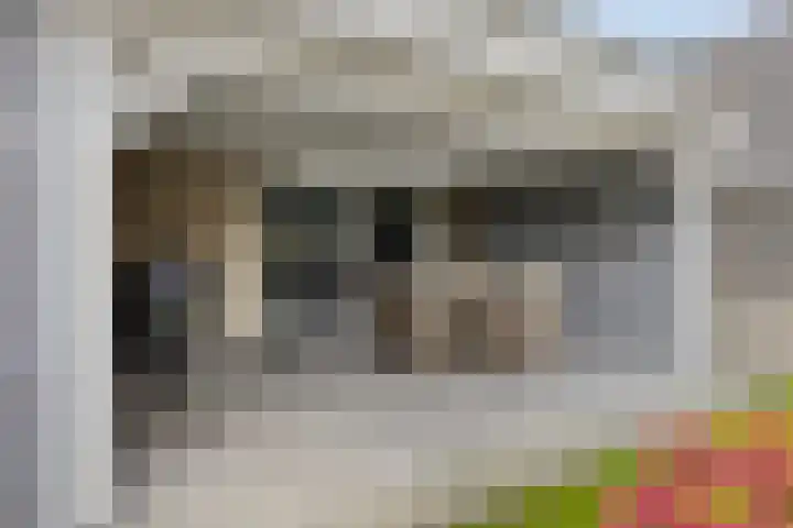 Rijsbergenstraat 9 Tilburg thumbnail 35